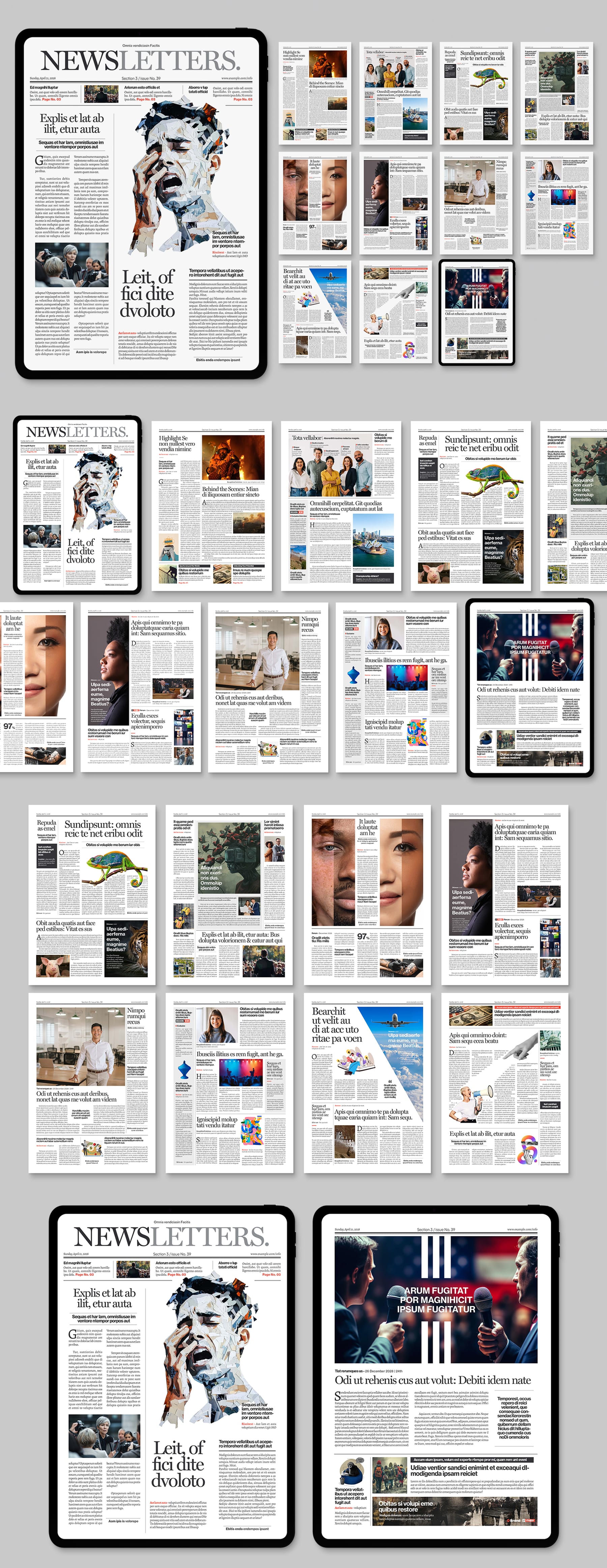 Digital Newspaper Template — full layout preview