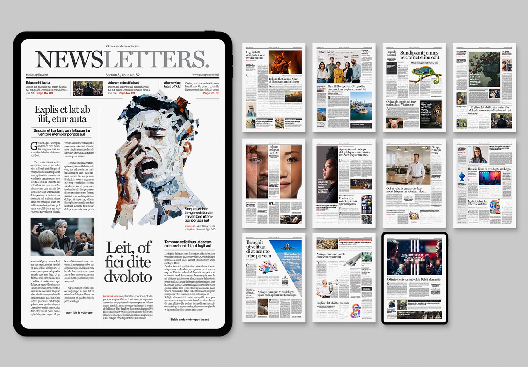 Digital Newspaper Template — newspaper template preview